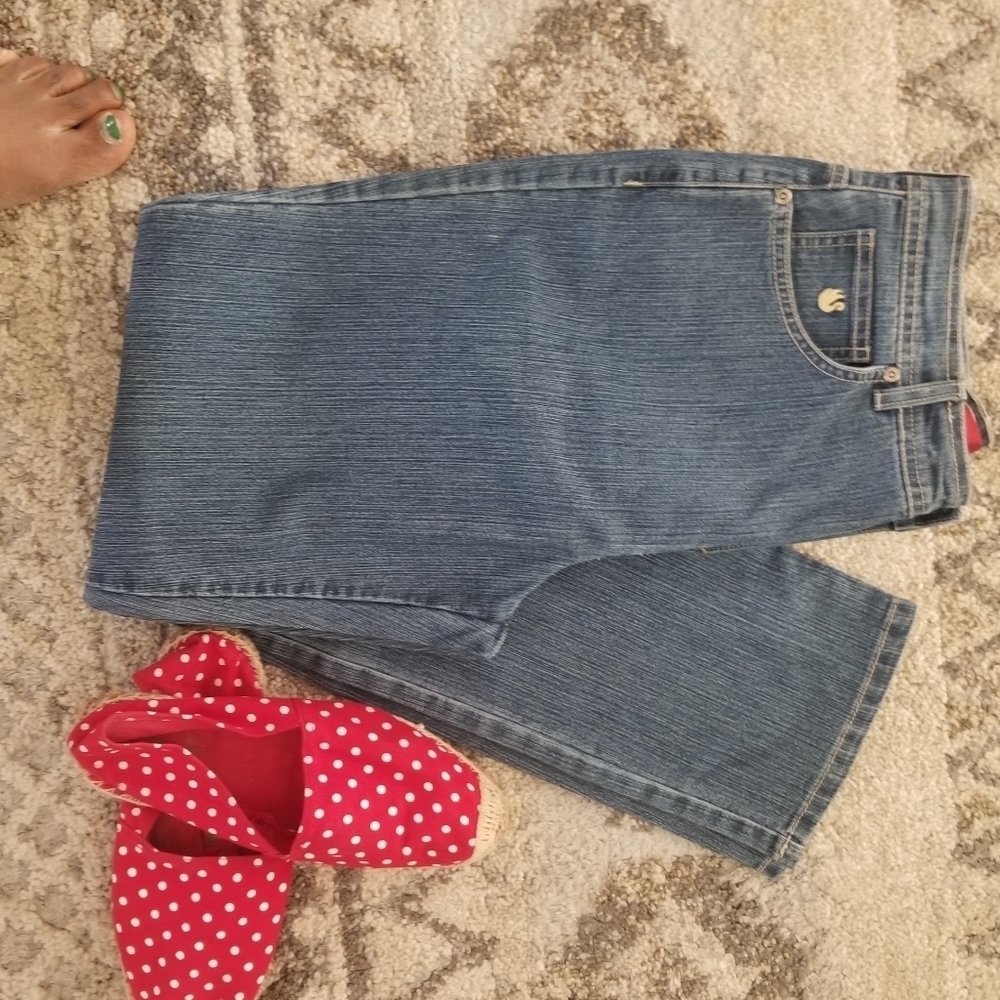 Gloria Vanderbilt Amanda Mom Jeans High Waist Sz 1